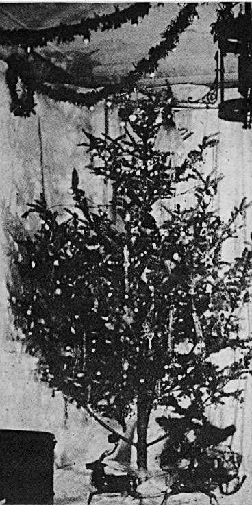 Az első elektromos karácsonyfa-fények: 1882 (Fotó: oldchristmastreelights.com)